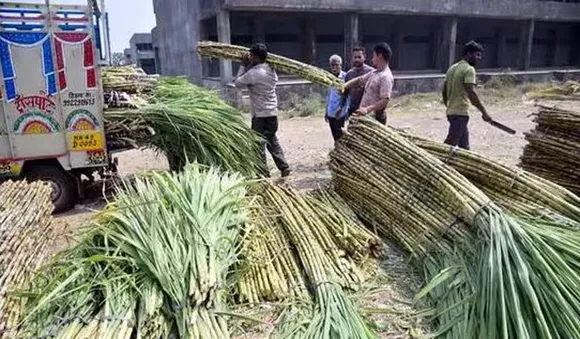 കർഷക സമരത്തിനിടെ കരിമ്പിന്റെ താങ്ങുവില കൂട്ടി കേന്ദ്രം; ക്വിന്റലിന് 315 രൂപയിൽ നിന്നും 340 രൂപയായി ഉയർത്തി