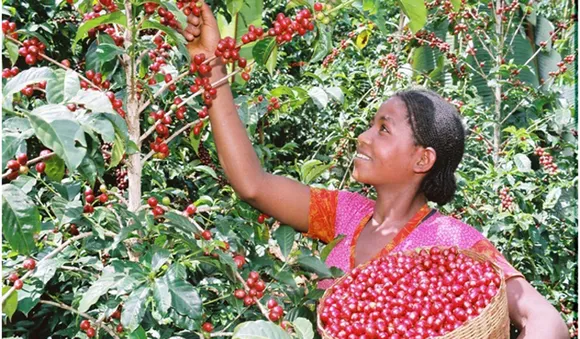 കാപ്പി കർഷകർക്കായി ക്ഷേമം വെബ്സൈറ്റ്