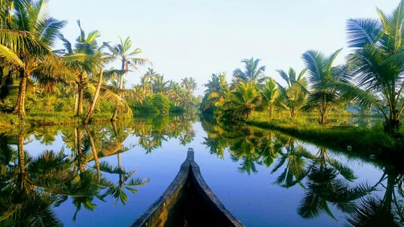 best dishes to try in Kerala