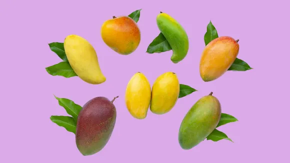 Aam ke Vividh Prakar: Types of Mangoes Found in India!