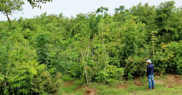 World Conservation Day