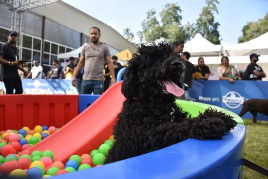  Pet Festival in Mumbai