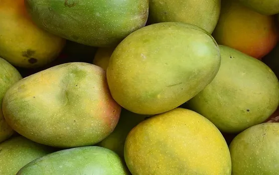 <br />
mangoes online 