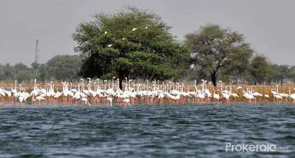 Chandlai Lake