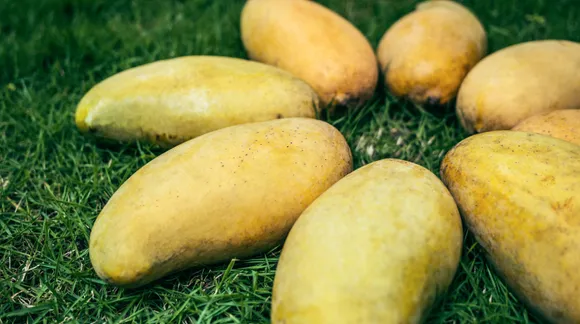 Here's where you can order Mangoes online in Mumbai