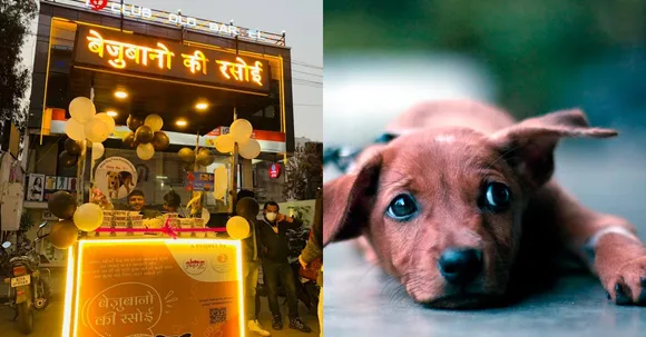 Jaipur's humble initiative 'Bejubano ki Rasoi' is feeding stray dogs at just Rs. 5!