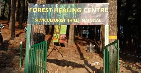 Forest Way of Healing: Revitalise your mind with the first forest healing centre opened in Uttarakhand