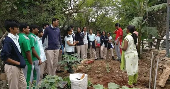 Koramangala residents joined hands to convert vacant plots to community gardens in Bangalore!