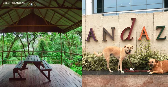 These pawcation retreats in India ensure a pleasant stay for you and your pets!