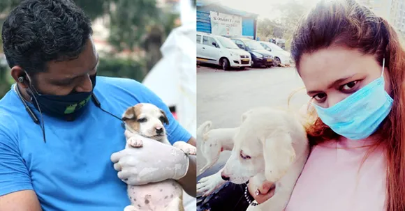 These 2 Mumbaikars are feeding stray dogs in Mira Road for the last 2 years!