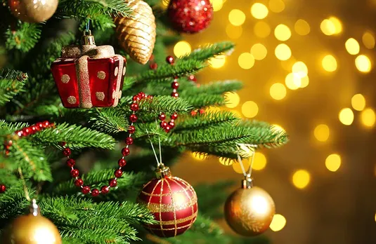 9 places to get Christmas decoration in Goa!