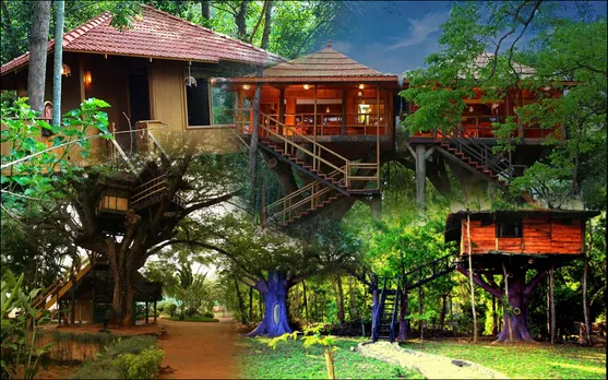 Dancing to nature's melodies: Top treehouses of India that you must visit