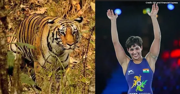 Local roundup: Anshu Malik gets Silver in Wrestling World Championship, India gets new tiger reserve and more such short local news stories for you!