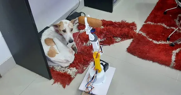High-tech caretaker: Lucknow man built a robot to take care of his differently-abled dog who fears humans