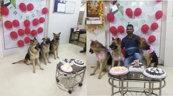 Three police dogs celebrate their first birthday with Mumbai Police, and we can't get over the cuteness