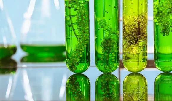 These biofuel startups are making biofuel from waste and are making the future greener!