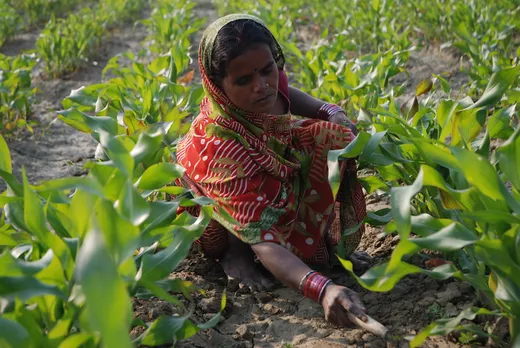 Kisan Divas 2022: Meet these Indian companies who are helping farmers!