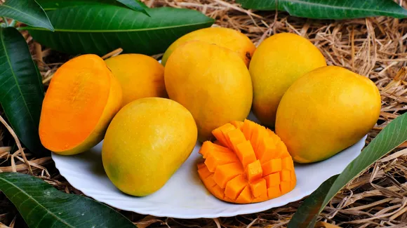 Places to buy mangoes in Pune!