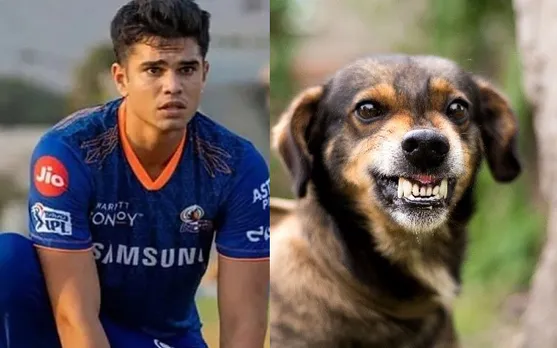 'Haan thoda dard hua, par chalta hai' - Fans react as Arjun Tendulkar gets bitten by dog ahead of MI vs LSG clash in IPL 2023