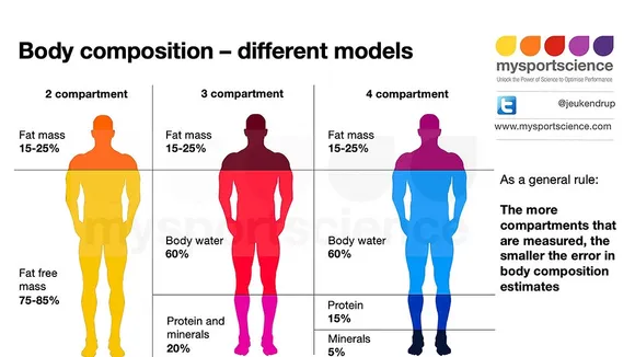 The Scale Tells One Story, Body Composition Tells Another: Unraveling the True Measure of Fitness
