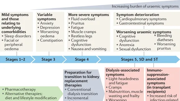 Navigating the Complexities of Chronic Kidney Disease Management and the Pivotal Role of Pharmacotherapy