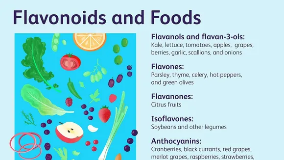 Unlocking Longevity: How Flavonol-Rich Diets Could Pave the Way to a Healthier Life