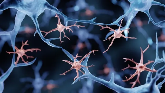Unlocking the Brain's Waste Disposal System: A New Hope for Alzheimer's Research
