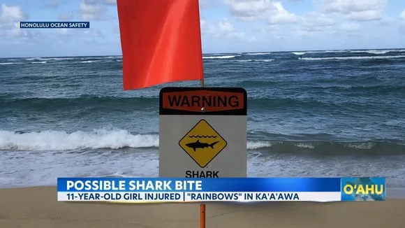 Young Girl Survives Shark Encounter Off Honolulu's Shores