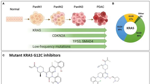 A Breakthrough in the Fight Against Cancer: Targeting the Elusive K-Ras-G12D Mutation