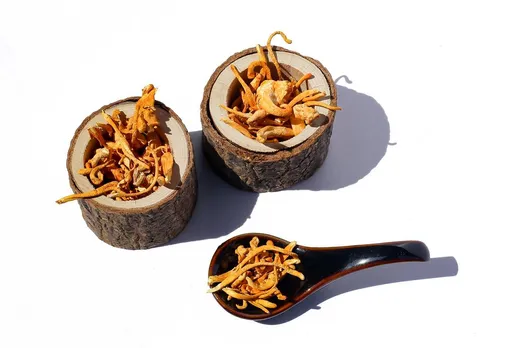 How to Incorporate Cordyceps into Your Diet