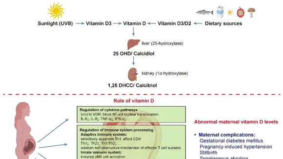 The Role of Vitamin Supplementation in Maternal Health and Child Development
