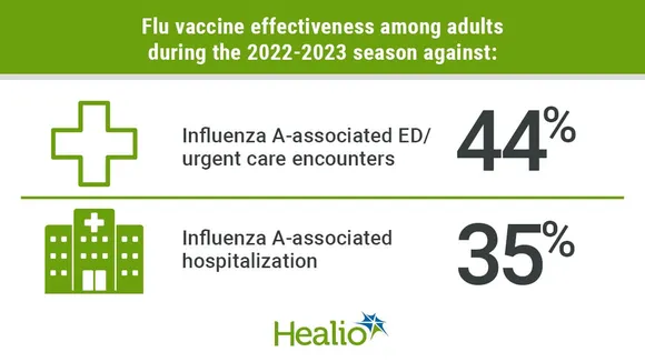 Understanding the Performance of the Influenza Vaccine in the 2022-2023 Season