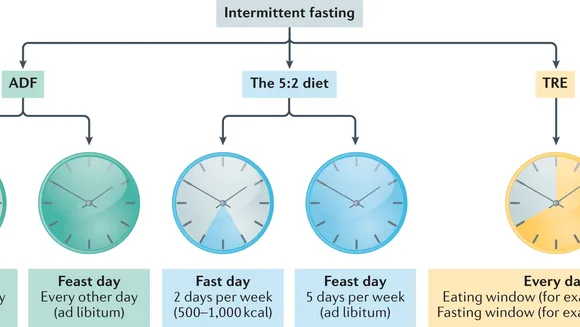Intermittent Fasting: Gender Differences and the Modified Approach for Women