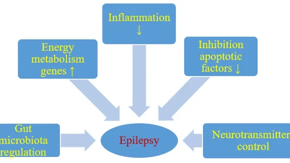 Evaluating the Efficacy of Ketogenic Diet in Infants with Drug-resistant Epilepsy