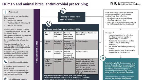 Understanding the NICE Guideline for Antimicrobial Prescribing for Human and Animal Bites