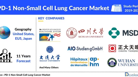 Navigating the PD-1 Non-Small Cell Lung Cancer Pipeline: Therapies, Trials, and Future Directions