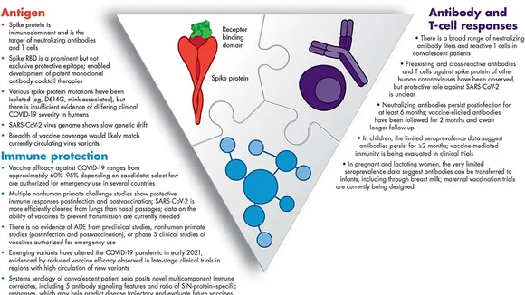 Preparedness of the Immune System for New SARS-CoV-2 Variants: Insights from Recent Studies