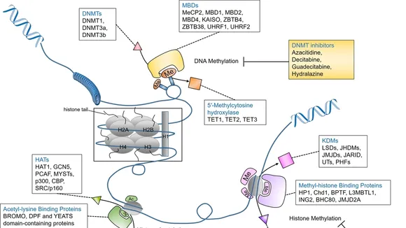 Innovative Epigenetic Technology: A Promising Future in Cancer Treatment