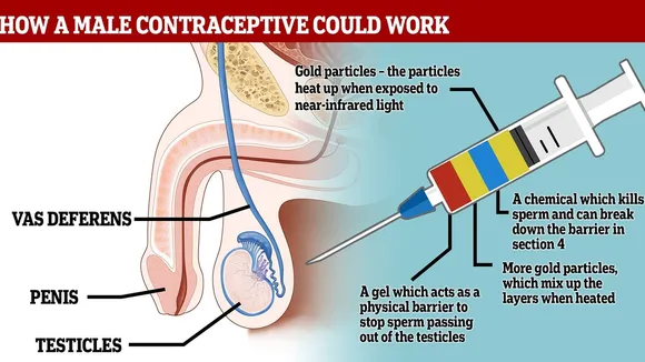 The Future of Male Contraception: A New Injectable Gel