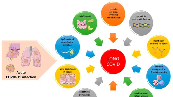 Unraveling the Mysteries of Long Covid: Biomarkers And Immune System Responses