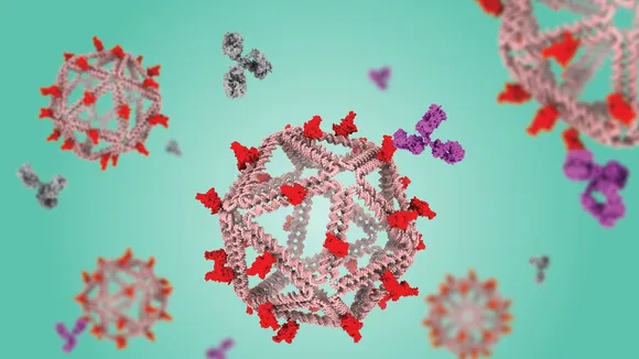 Revolutionizing Vaccines: DNA Origami Scaffolds for Stronger Antibody Response Against Viruses