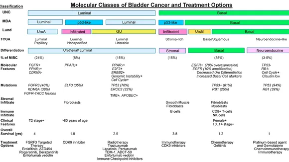 Advancements in Urothelial Carcinoma Treatment: A Comprehensive Review
