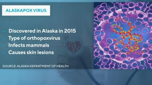 The Alaskapox Virus: Understanding the Threat and How to Protect Ourselves