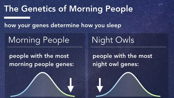 Embracing the Dawn: The Science and Benefits of Being a Morning Person