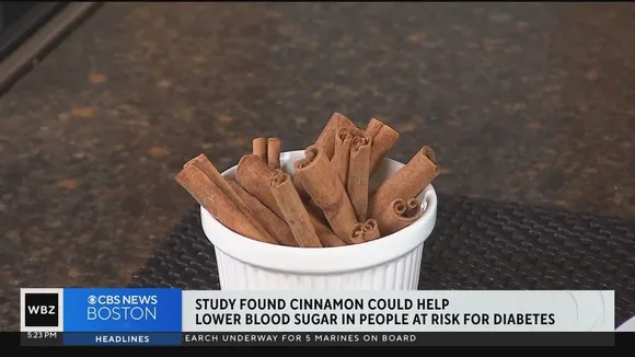 The Impact of Daily Cinnamon Supplements on Blood Sugar Levels