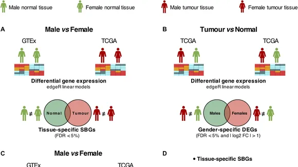 Exploring the Potential Diagnostic and Therapeutic Targets for Bladder Cancer: A Comprehensive Bioinformatics Approach