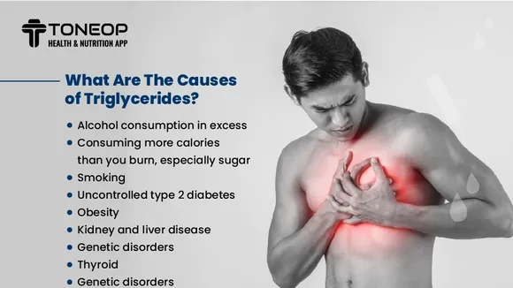 Understanding the Role of Triglycerides in Heart Health