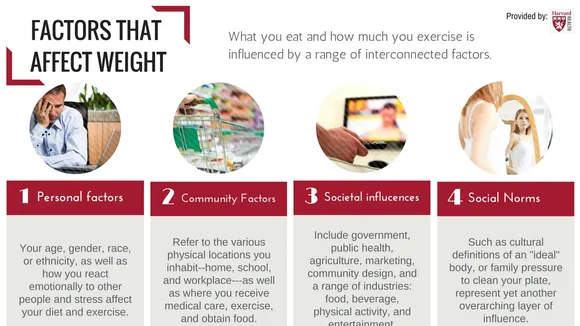 The Holistic Approach to Weight Management: Beyond Diet and Exercise