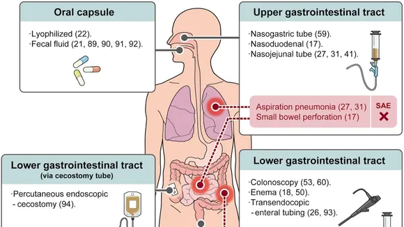 Exploring the Potential of Fecal Microbiota-Based Therapies for Gastrointestinal Diseases