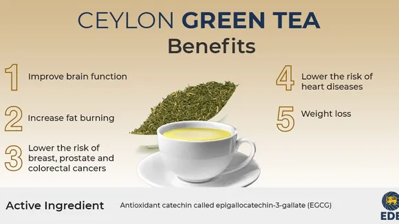 Unlocking the Health Benefits of Green Tea: A Comprehensive Overview